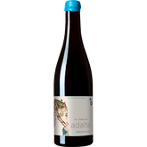 Adalta Blanc 2019 - Bodega Terra Remota y Adalta